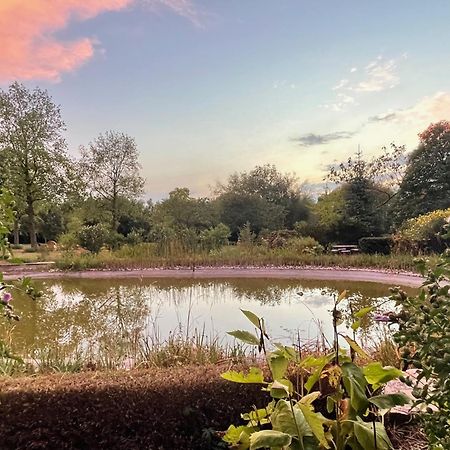 Imagine B&B Wortegem Dış mekan fotoğraf