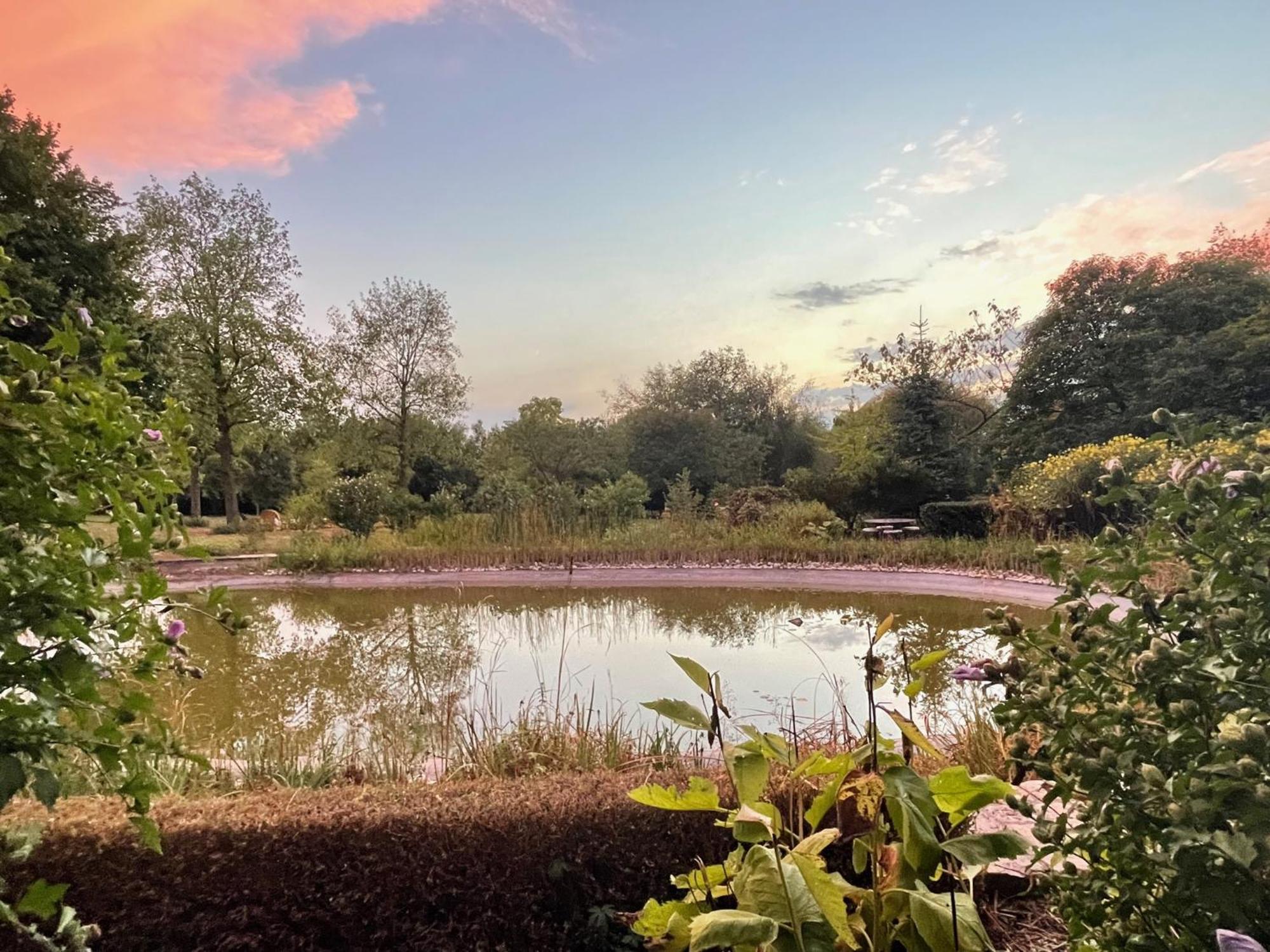 Imagine B&B Wortegem Dış mekan fotoğraf