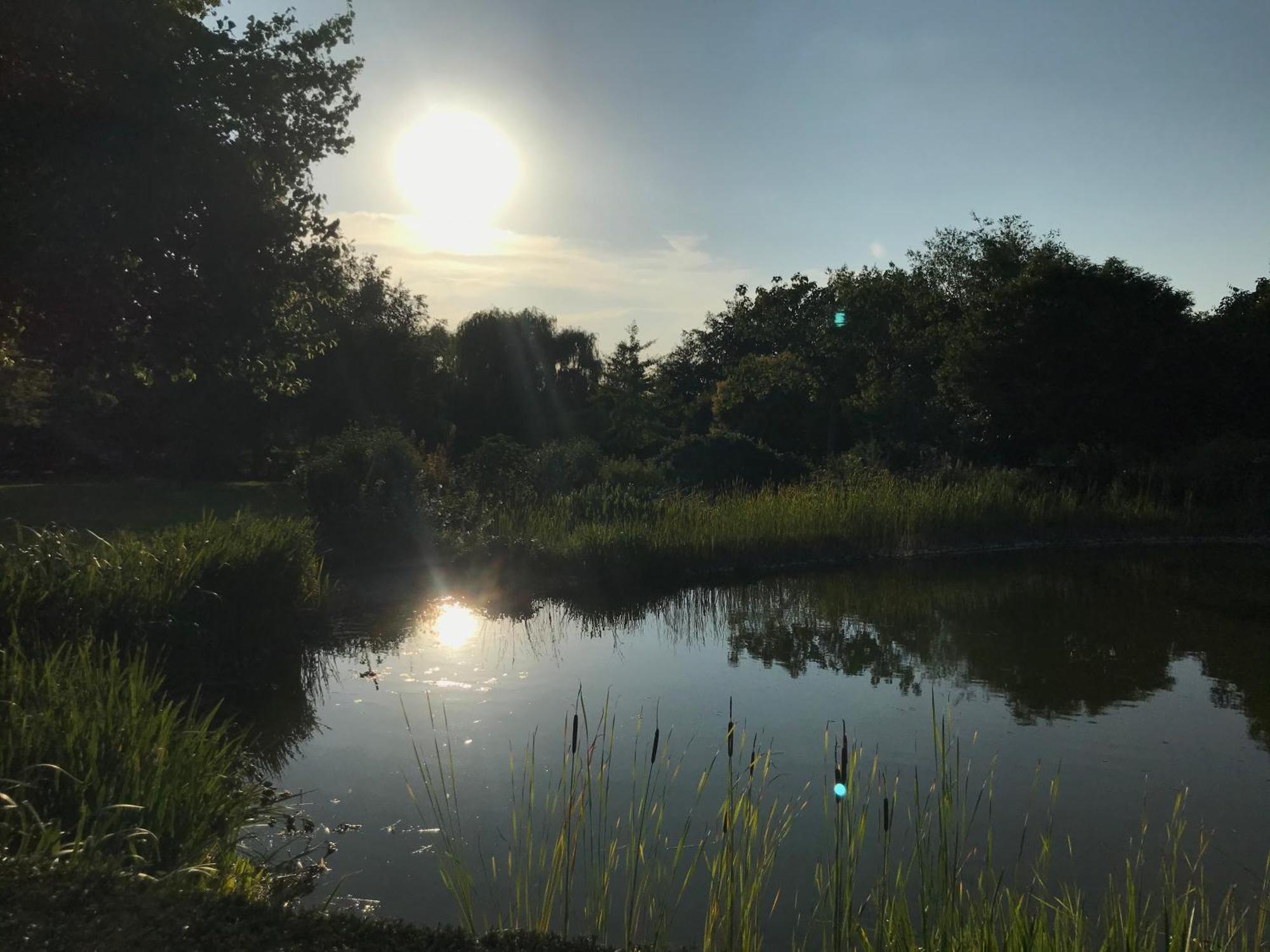 Imagine B&B Wortegem Dış mekan fotoğraf