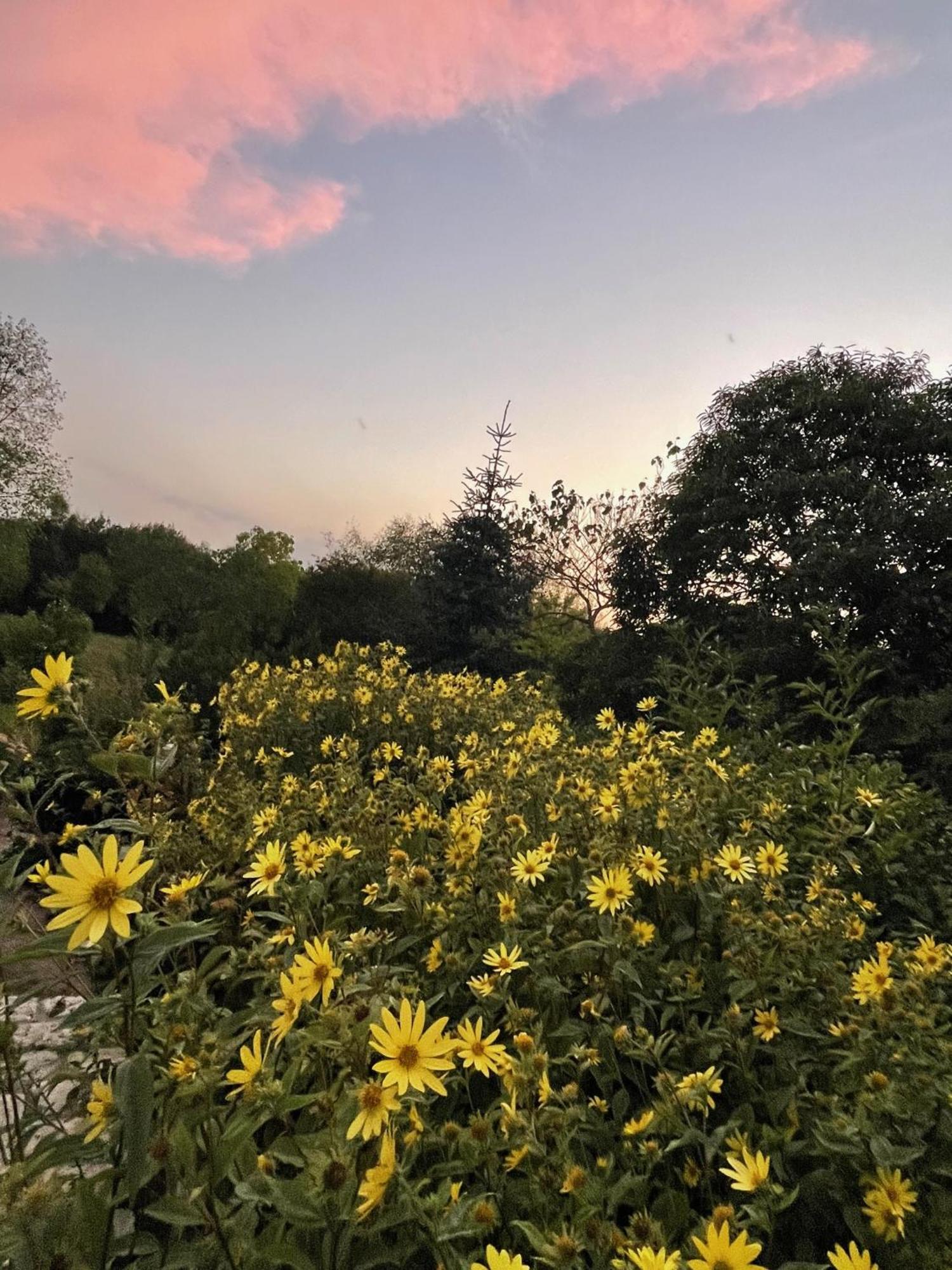 Imagine B&B Wortegem Dış mekan fotoğraf