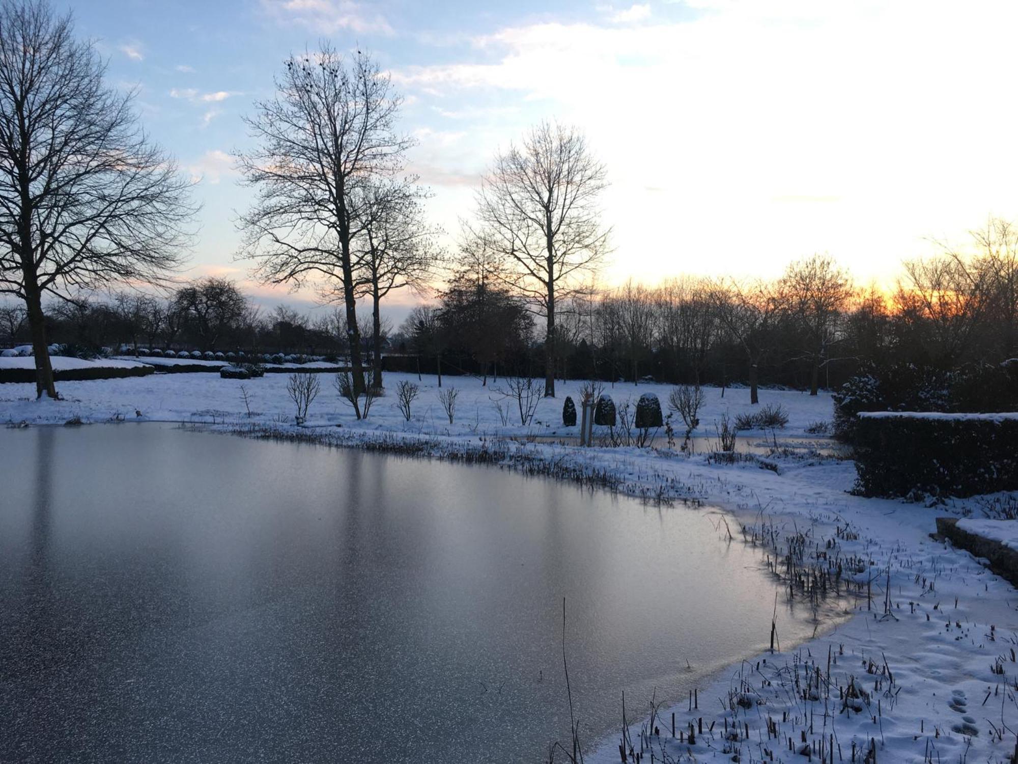 Imagine B&B Wortegem Dış mekan fotoğraf