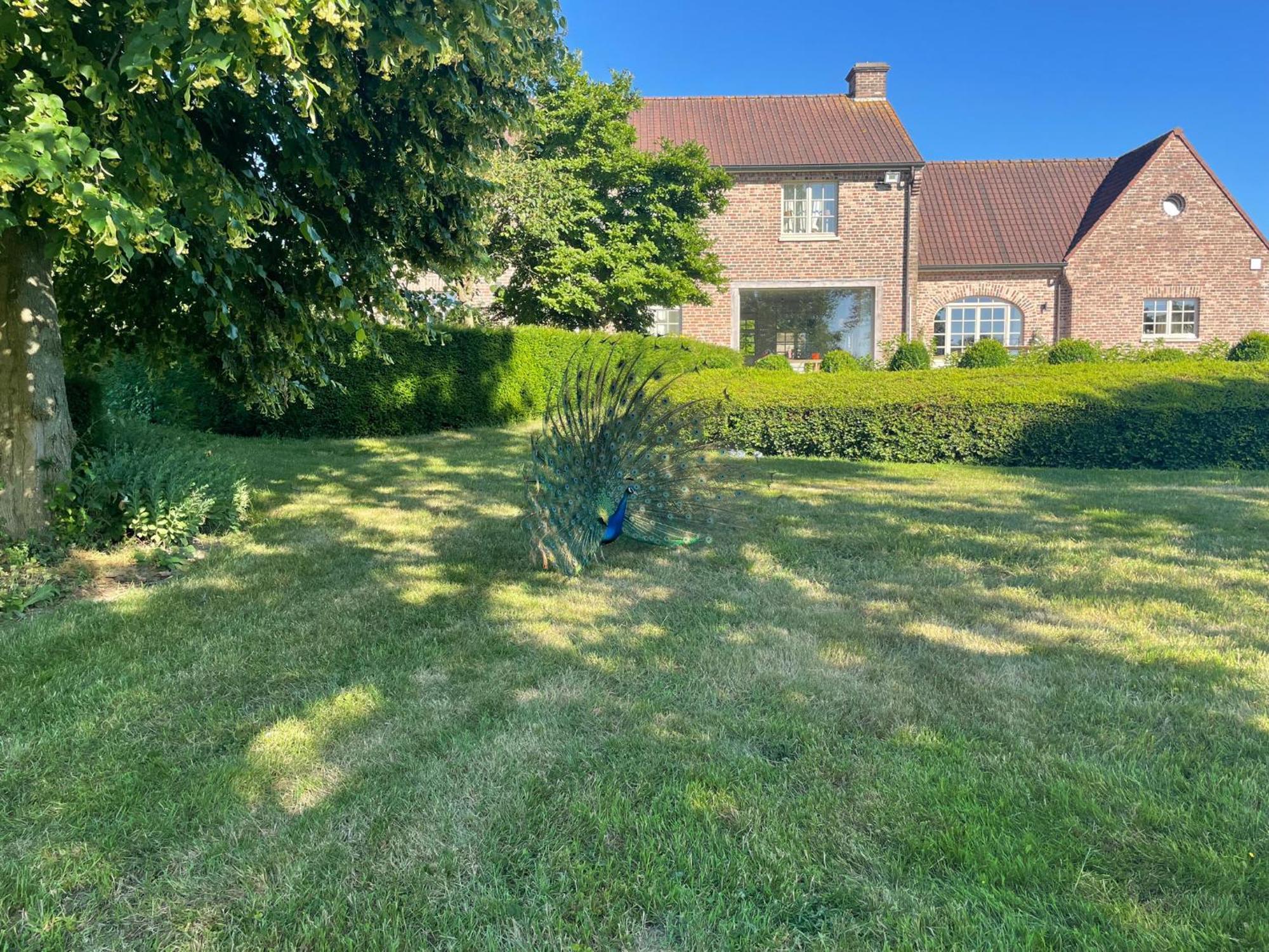 Imagine B&B Wortegem Dış mekan fotoğraf