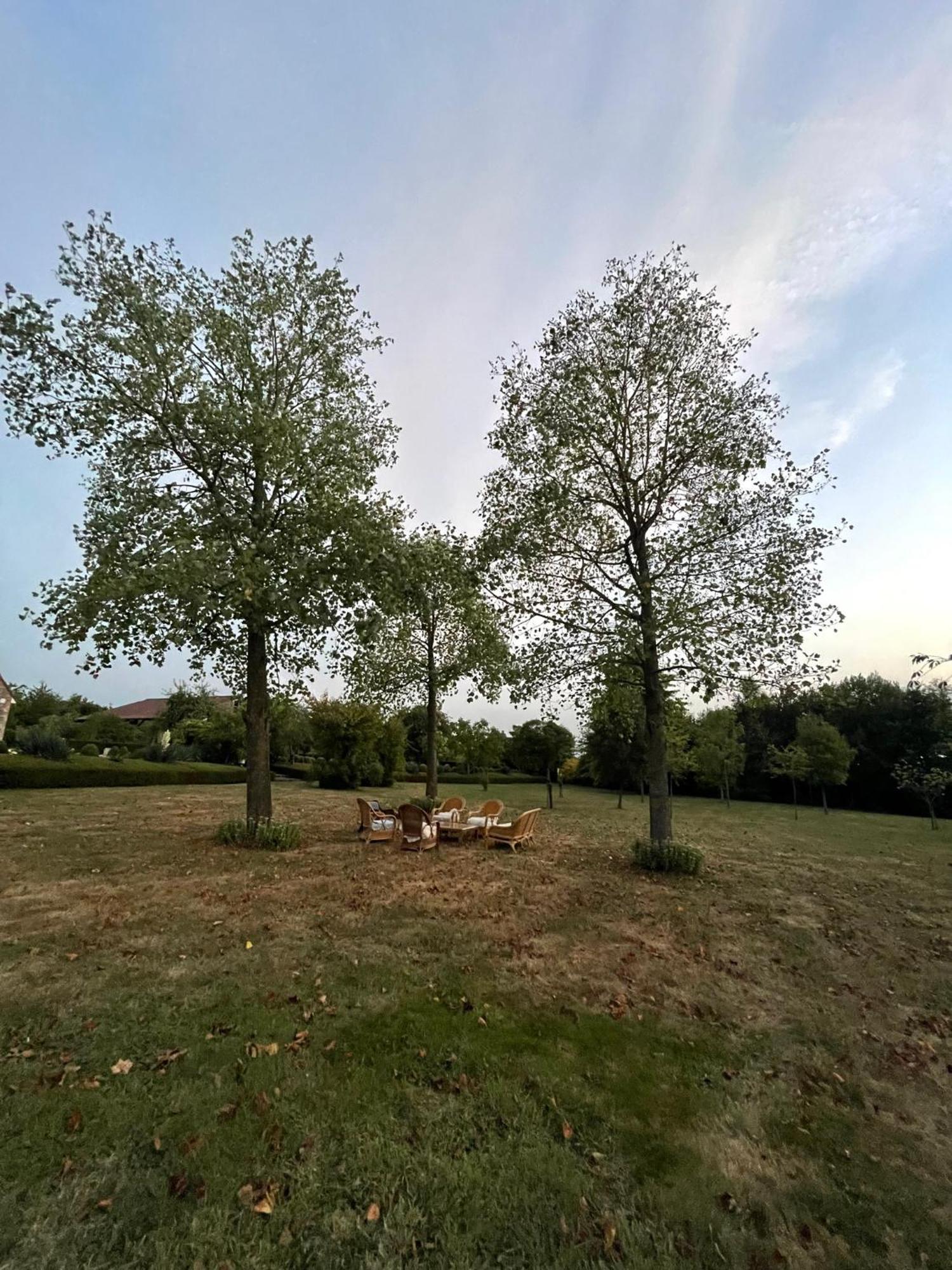 Imagine B&B Wortegem Dış mekan fotoğraf