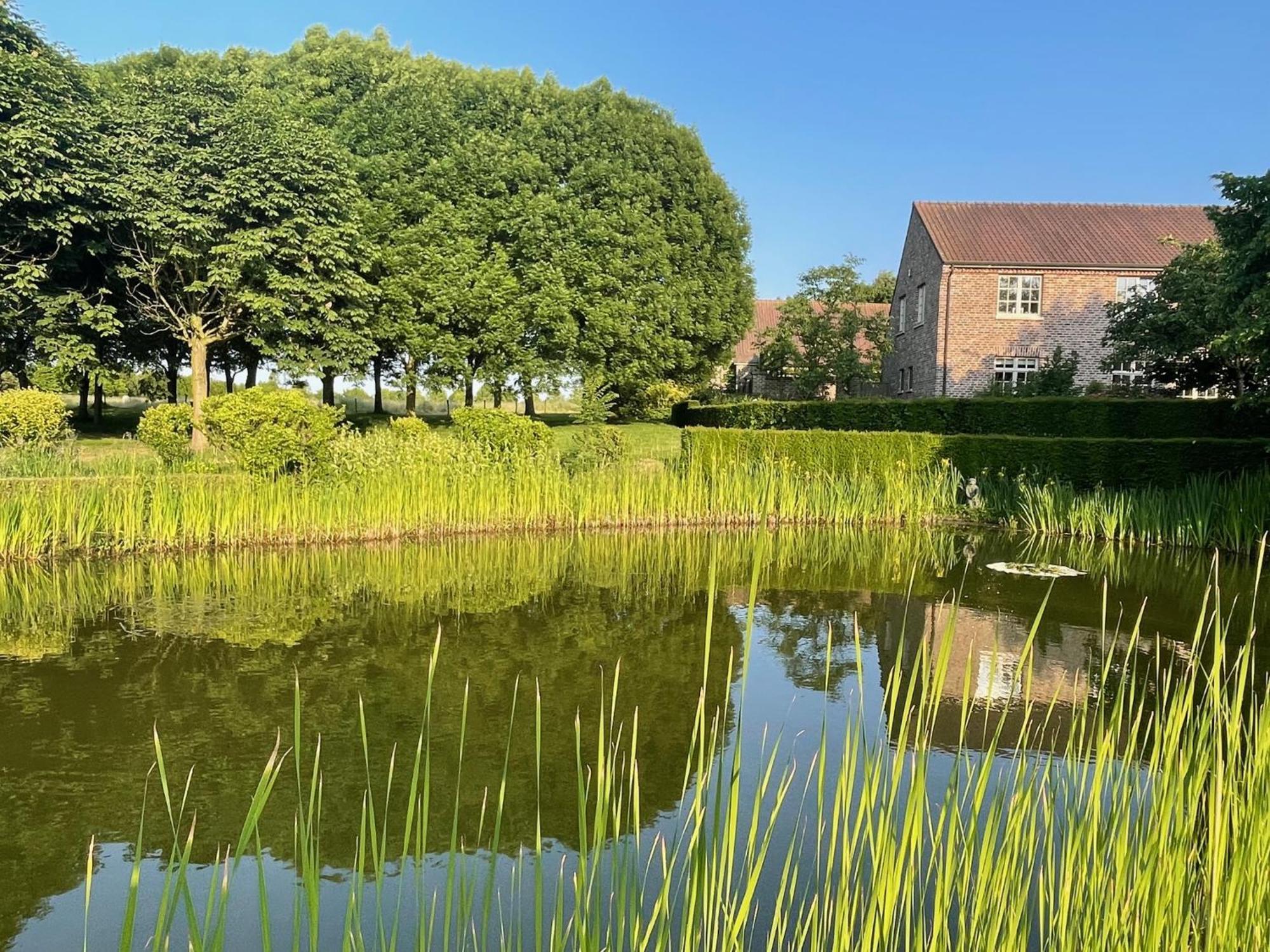 Imagine B&B Wortegem Dış mekan fotoğraf